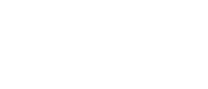 Logo Perdele Andreea - proiect DARKDEV