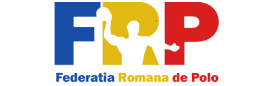 Logo Polo - proiect DARKDEV