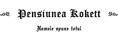Logo Kokett - proiect DARKDEV